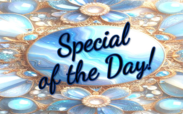 SPECIAL OF THE DAY!